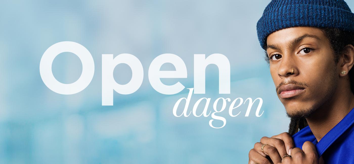 Open dag festival